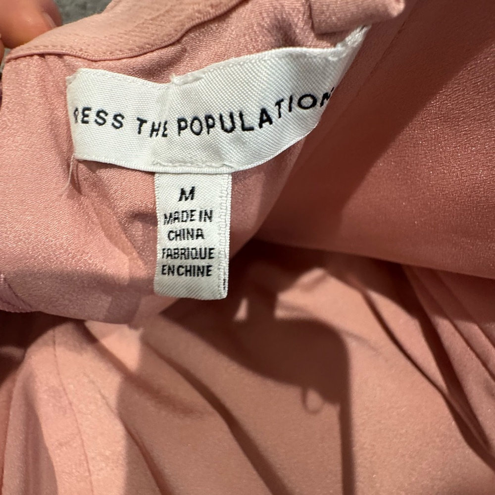 Dress the Population
Kailyn blush multi - Picture 7 of 8